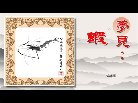 夢見蝦子號碼|解夢之夢見很多蝦的寓意